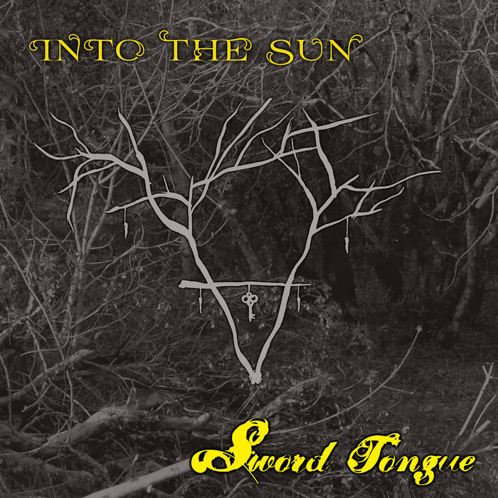 Into The Sun album cover